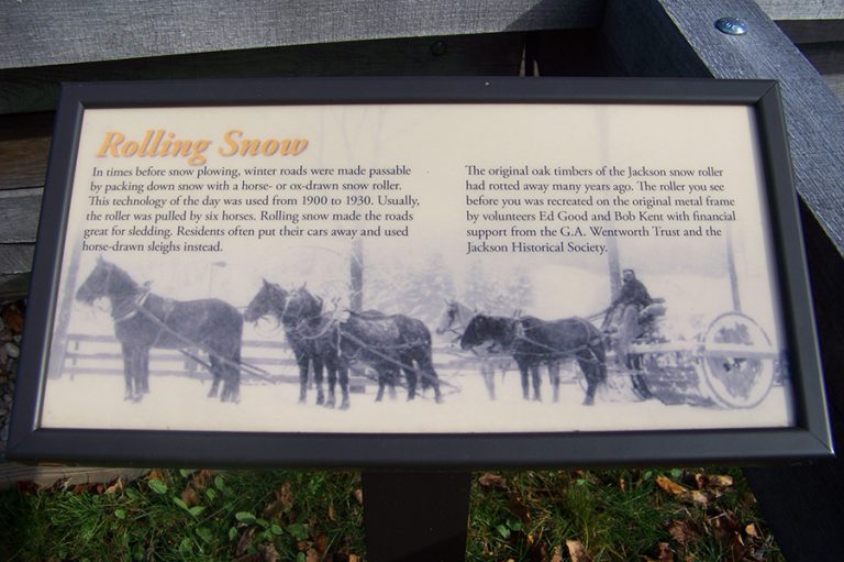 100 2852 1 1 768x511