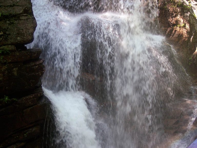 100 0662 1 1 768x576