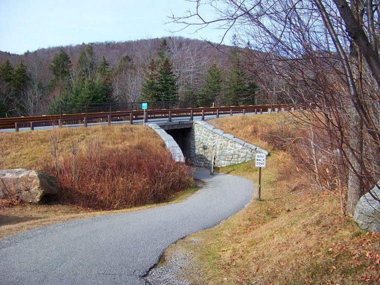 Trail to The Basin from Parking Lot