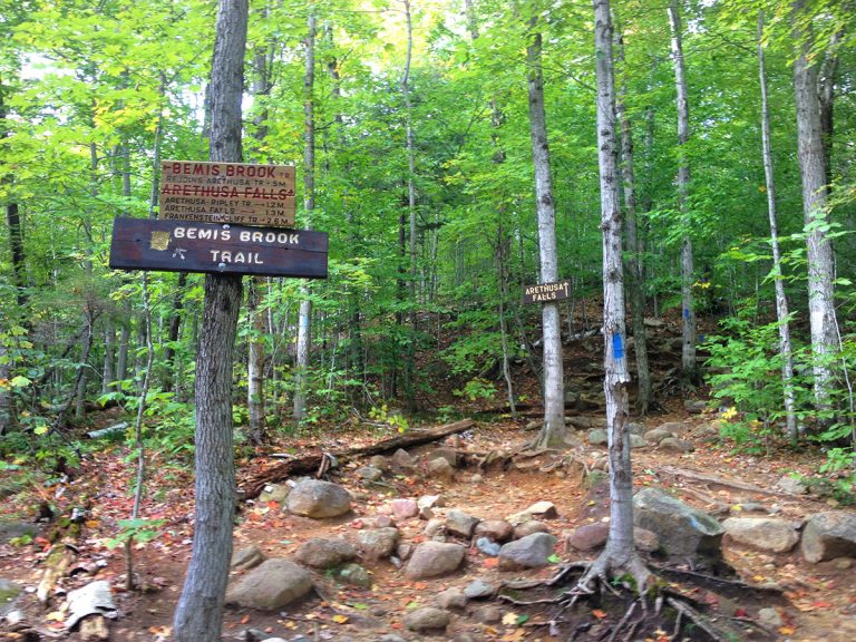 IMG 2119 1 2 768x576