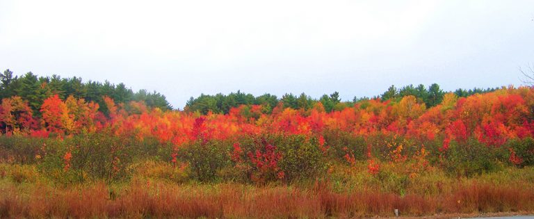 Barnstead NH During Fall Foliage Season Barnstead NH During Fall Foliage Season