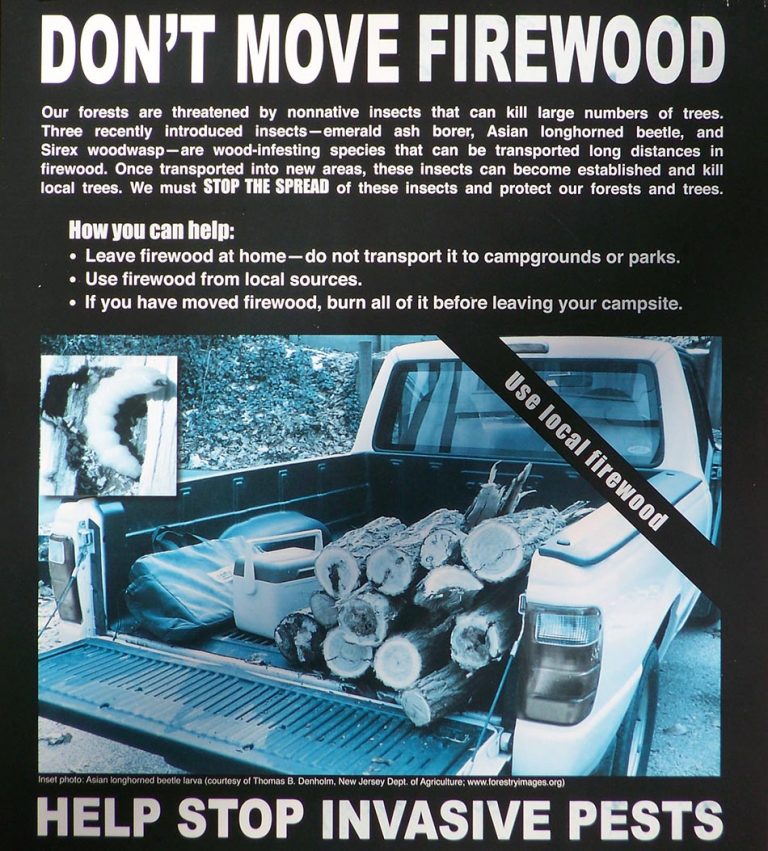 100 3329 2 2 768x851