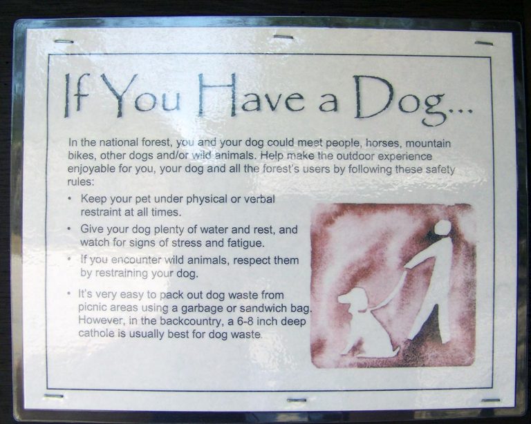 100 3336 1 3 768x614