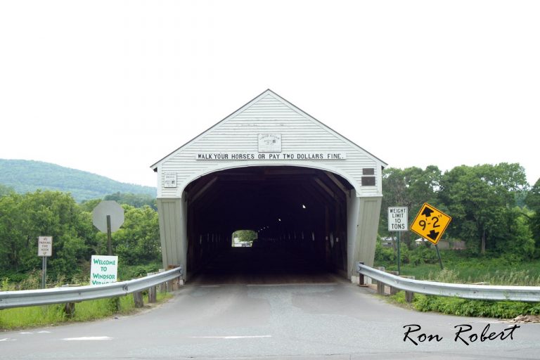 19984289234 a67ced4a61 o 2 768x512