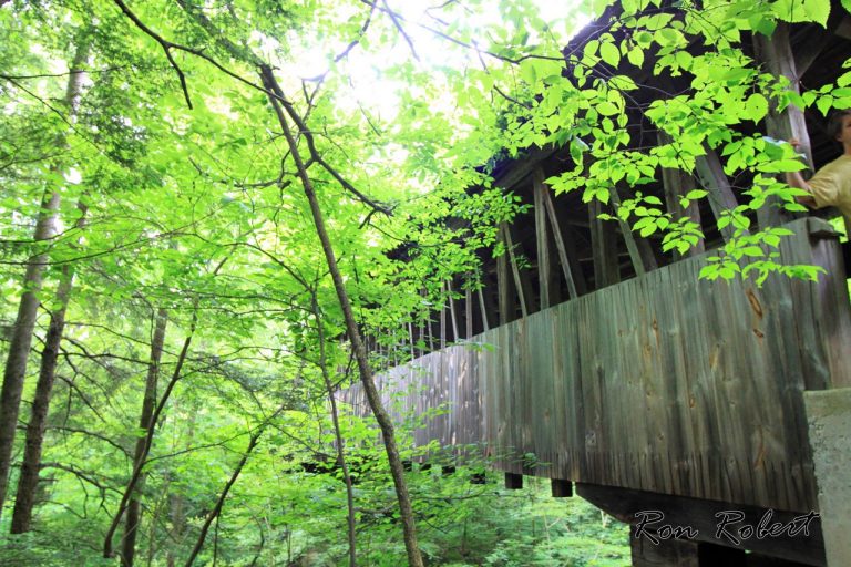 19985971963 871caba497 o 1 768x512