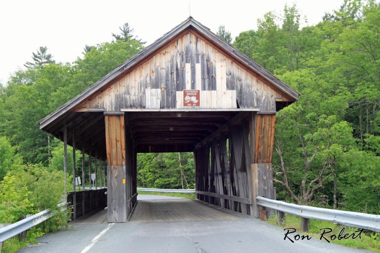 20580592416 6c0936abfc o 1 768x512