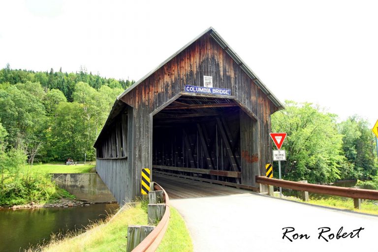 20606839675 2f03bbffbe o 1 768x512