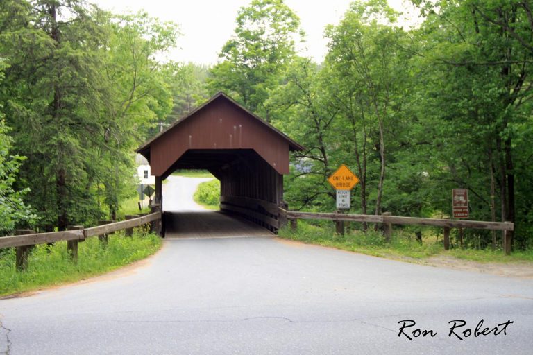 20613461231 e268054495 o 1 768x512