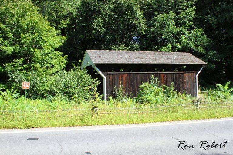 20855915765 f12299a8f0 o 1 768x512