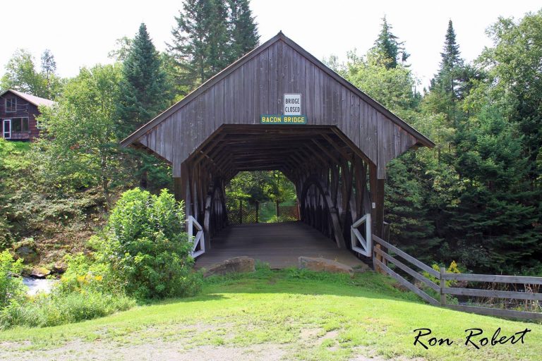 20964954345 d02c657425 o 1 768x512