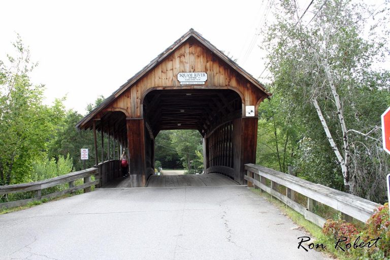 20972404021 ae91d7068f o 1 768x512