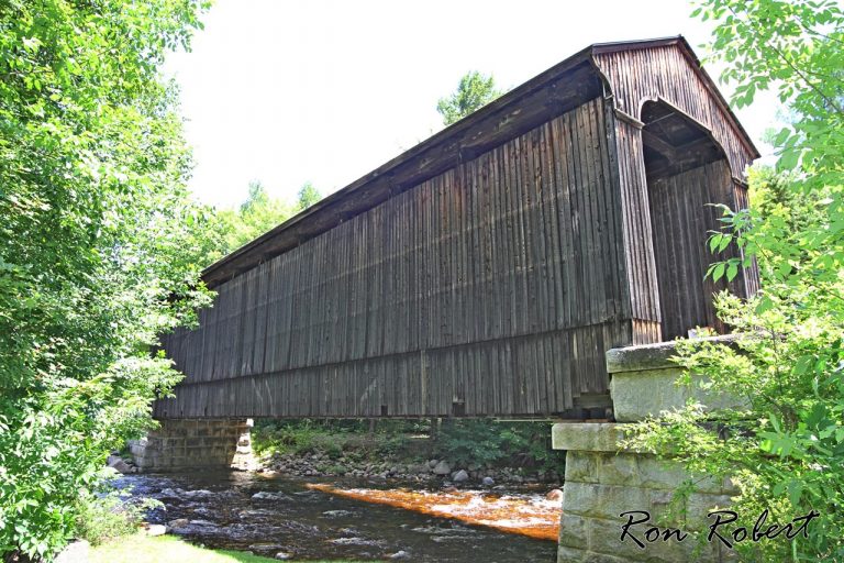 27818253723 3671e7830c o 1 768x512