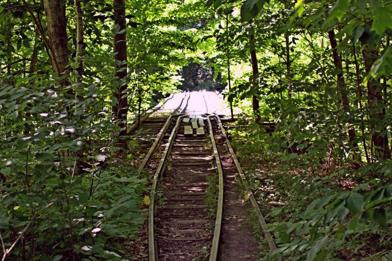 27818255073 eeda5747e7 o 1 768x512