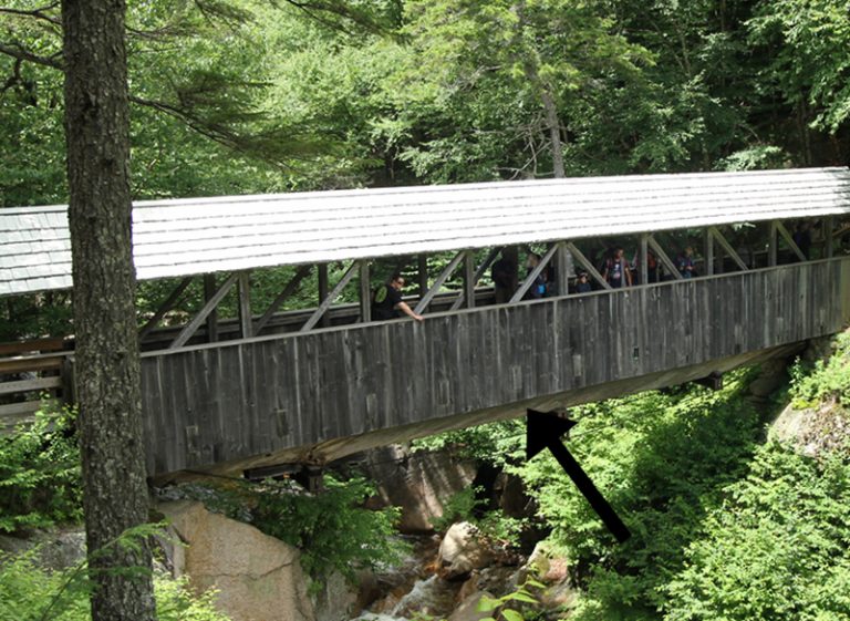 A closer view of the pine tree that holds up the Sentinel Covered Bridge