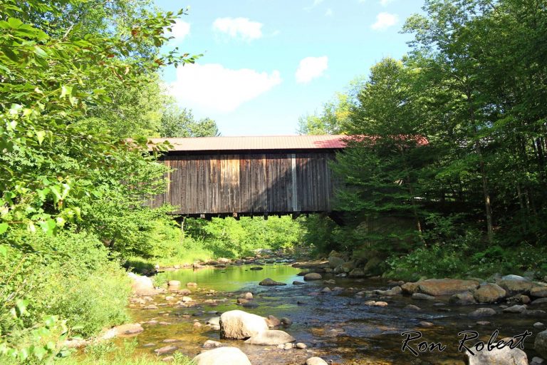 28500413663 eb421c09d4 o 2 768x512