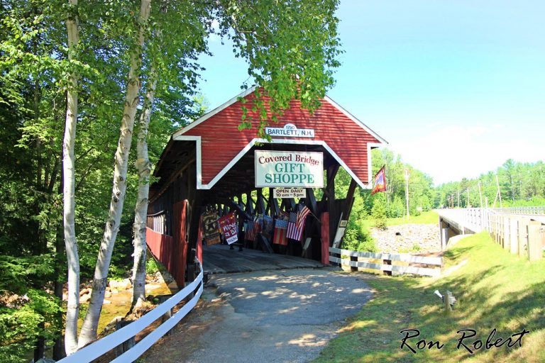 29086505296 e9bedbfaf5 o 1 768x512