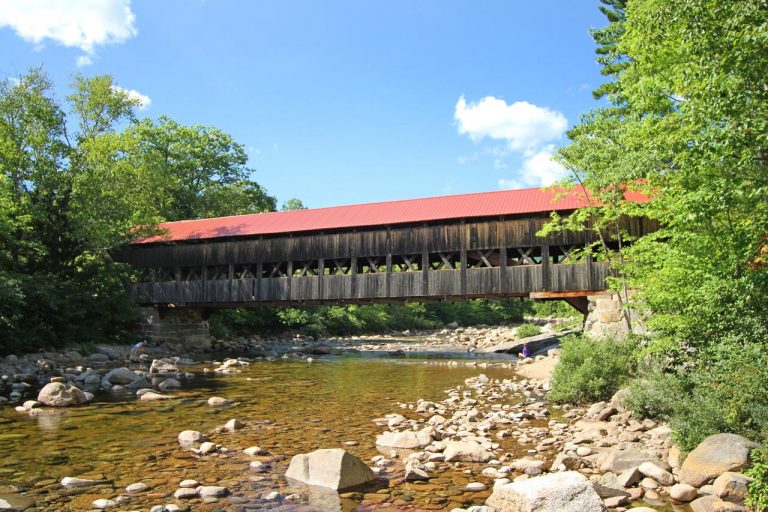 29086505496 5423a312f2 o 1 768x512