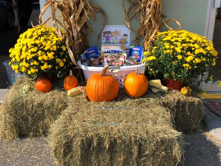 FB84471A E954 49FB 83C2 76C71C9BAF28 768x576