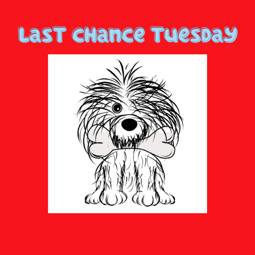 Last Chance Tues Square