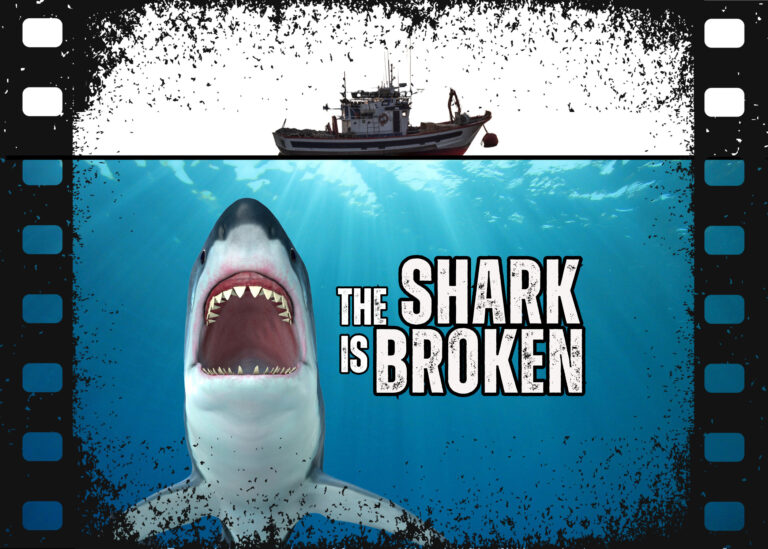 Shark is Broken 7to5Ratio 700 x 500 px 768x549